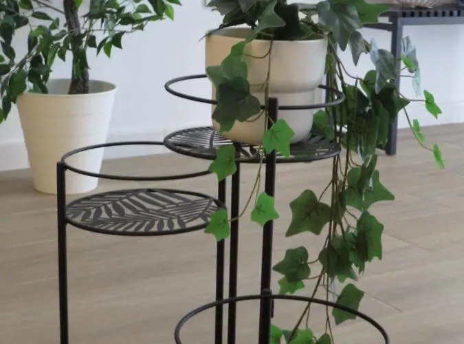 Venerable 15a Appartement Córdoba